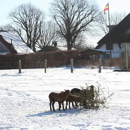 Oewern Diek 41 Apartment Wustrow (Fischland)